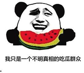 网络用语吃瓜是什么意思,吃瓜背后的趣味与内涵